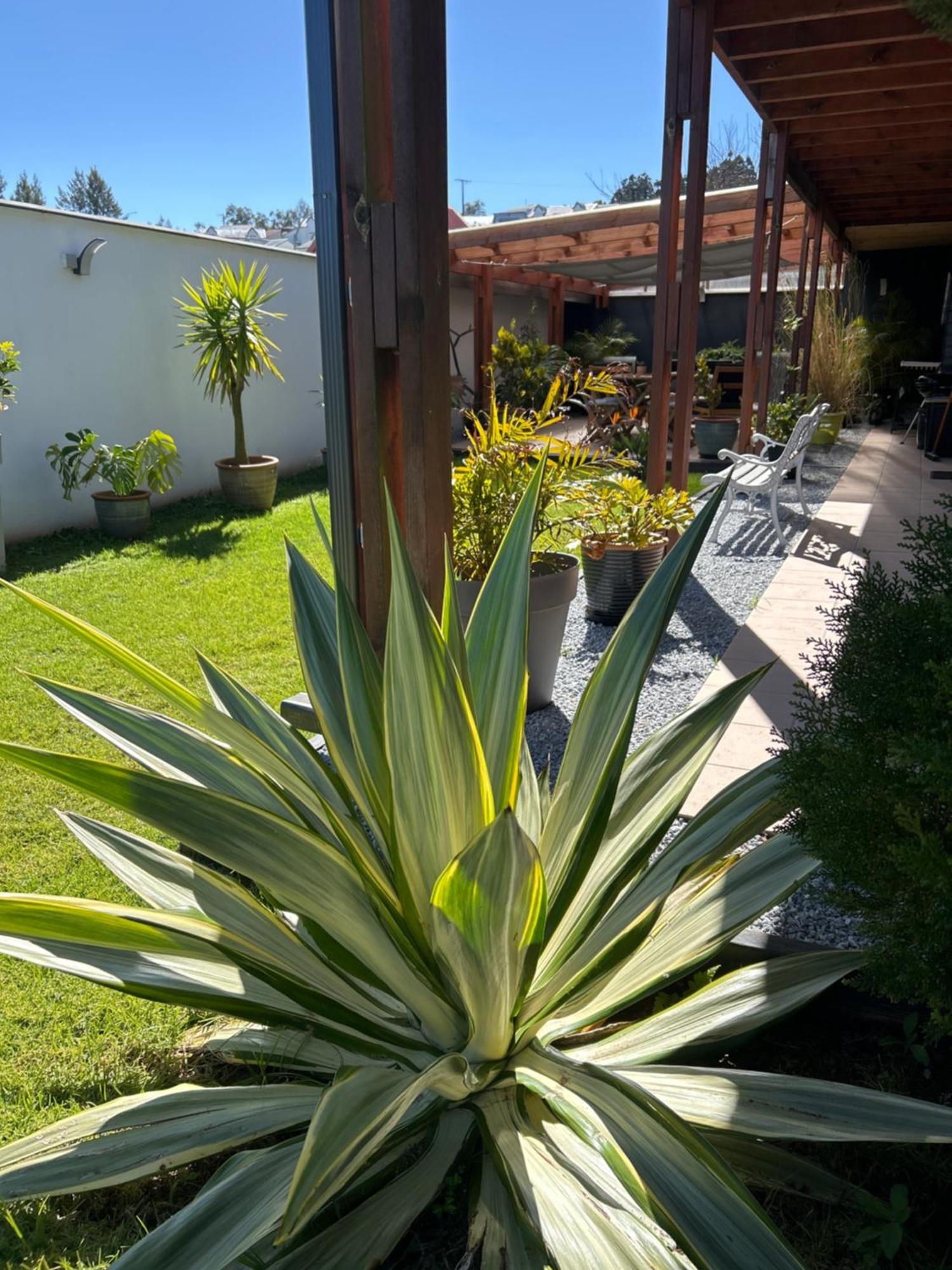 Vulkan'O La Plaine des Cafres Exterior photo
