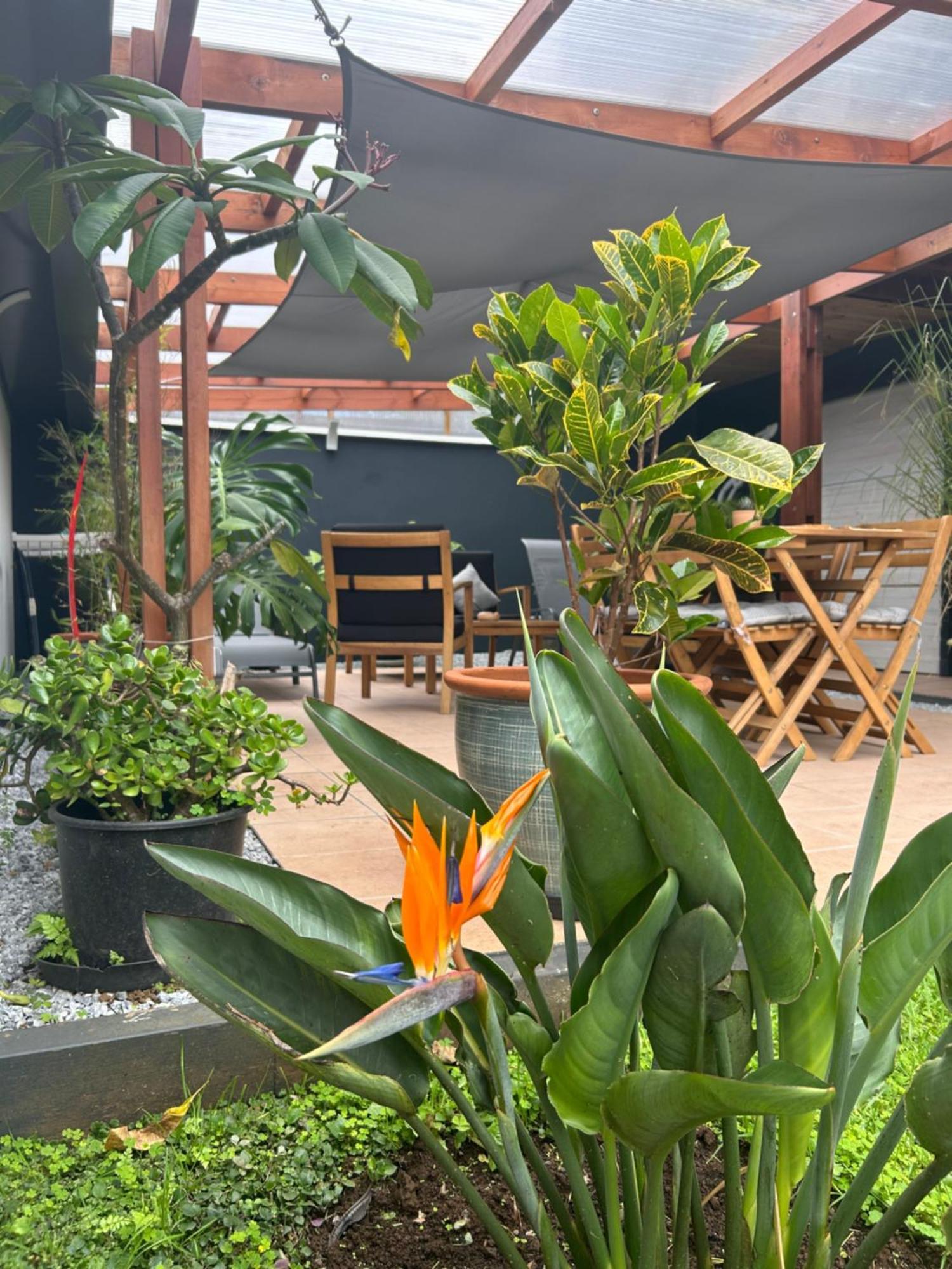 Vulkan'O La Plaine des Cafres Exterior photo